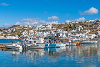 Mykonos Port