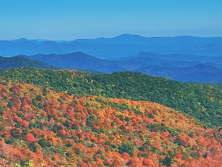 Pisgah National Forest