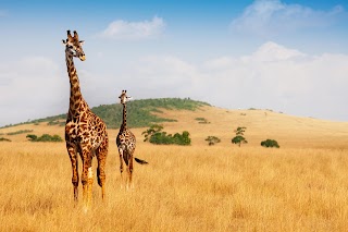 Maasai Mara National Reserve