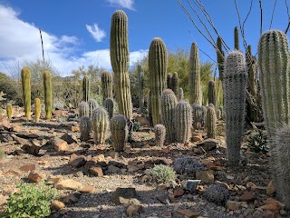 Arizona-Sonora Desert Museum