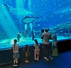 Two Oceans Aquarium