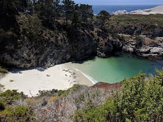 Point Lobos State Natural Reserve