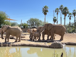 Reid Park Zoo