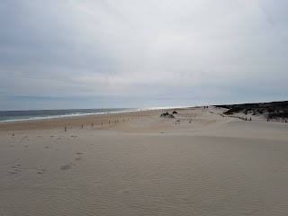 Assateague Island National Seashore
