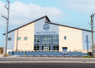 Sea Turtle, Inc.